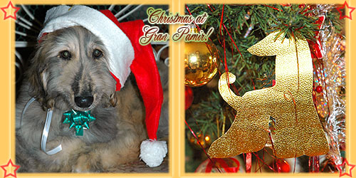 Happy Holidays!