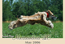 Coming soon - Photos � Emanuela Camia/GP