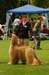 DSC_6352